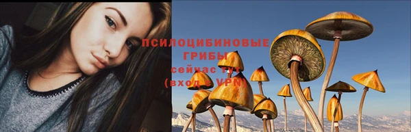 скорость mdpv Вяземский
