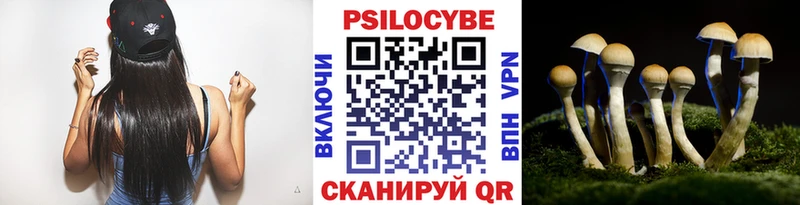 Псилоцибиновые грибы Magic Shrooms Заволжск