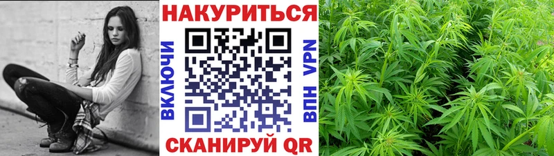 Марихуана Amnesia  даркнет сайт  Заволжск 